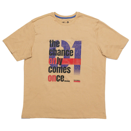 Beige Printed T-Shirt