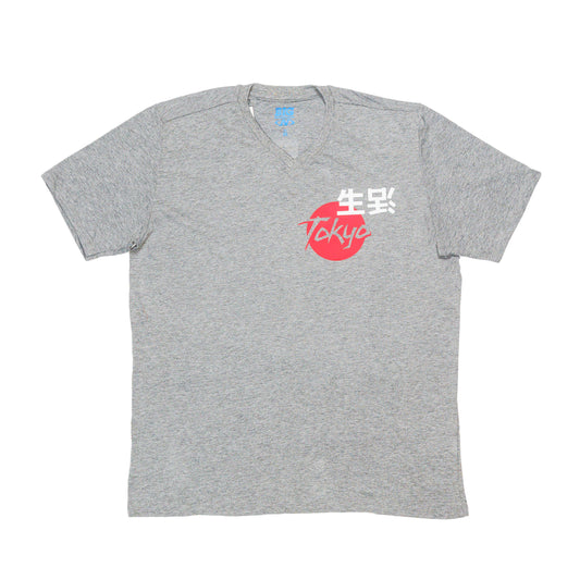 Gray Printed T-Shirt